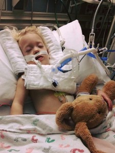 735190_10153834917516419_3986941487406903313_n